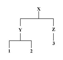 <strong>The question below is based on the following illustration of product parts: Which of the following items are components?</strong> A) Y and Z only B) 1, 2, and 3 only C) Y, Z, 1, 2, and 3 only D) X, Y, Z, 1, 2, and 3