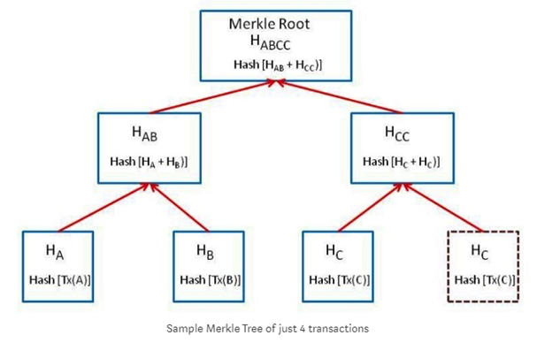 The ____________of the tree is the topmost node and hence this tree is represented upside down. The bottommost nodes are called as ________nodes. Each node is simply a cryptographic hash of a transaction. In the above diagram, Transaction A,B, C,C from the leaves of the tree. Select one.