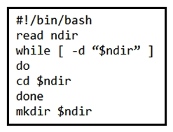 Refer to the exhibit.   What is the action of the Bash script that is shown?