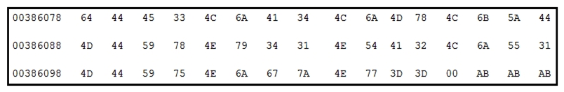 Refer to the exhibit. Which encoding technique is represented by this HEX string?