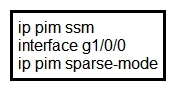 Refer to the exhibit. Which task must you perform on interface g1/0/0 to complete the SSM implementation?