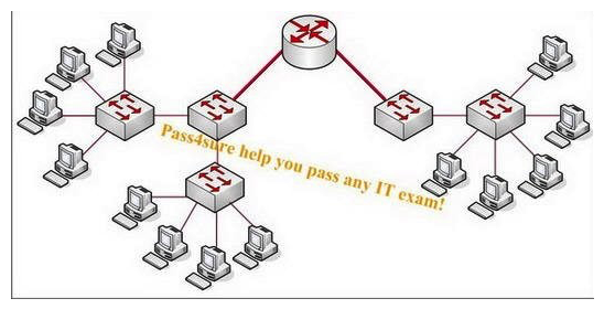 How many broadcast segments are contained in this network according to the exhibit?