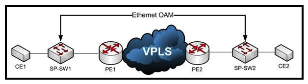 Refer to the exhibit. A service provider would like to use Ethernet OAM to detect end-to-end connectivity failures between SP-SW1 and SP-SW2. In which two of these ways can you design this solution? (Choose two.)