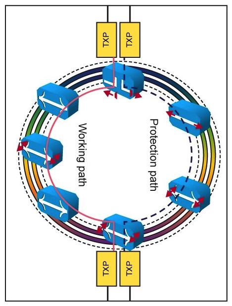 Refer to the exhibit. In the DWDM network, a ring topology carries multiple services between two sites. Which option describes the employed protection design?