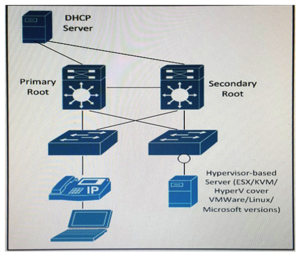 Refer to the exhibit. The server supports 802.1q and is running multiple VLANs on its NIC. Which two Layer 2 features should be applied to the network location identified by a circle? (Choose two.)