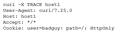A developer emails the following output to a security administrator for review: Which of the following tools might the security administrator use to perform further security assessment of this issue?