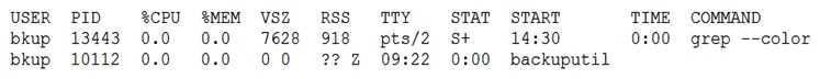 An administrator is troubleshooting to determine why backups are failing on a particular server. The administrator runs the ps command and analyzes the following output. The administrator runs kill -9 10112 yet the process remains. Which of the following BEST describes the issue and how to fix it?