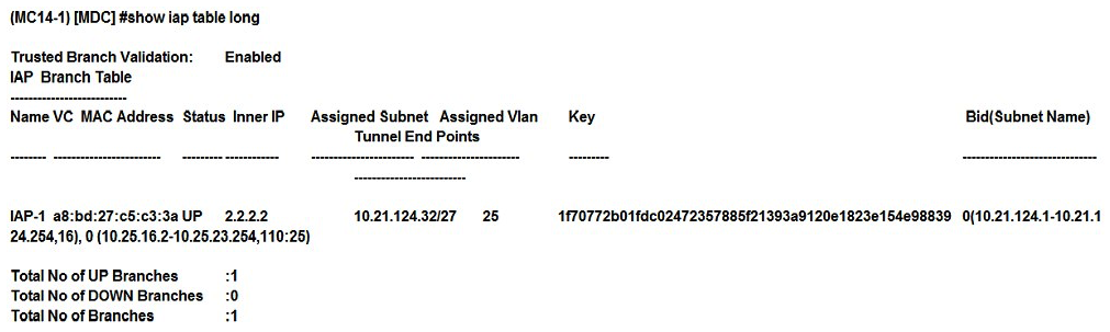 <strong>Refer to the exhibit. A network administrator configures an Instant AP (IAP) to establish an Aruba IPSec tunnel across the Internet, and configures two DHCP pools for wireless users. Based on the output shown in the exhibit, which device behaves as a DHCP server for the users?</strong> A) Mobility Master B) Mobility Controller C) External server D) DSL modem E) Virtual Controller
