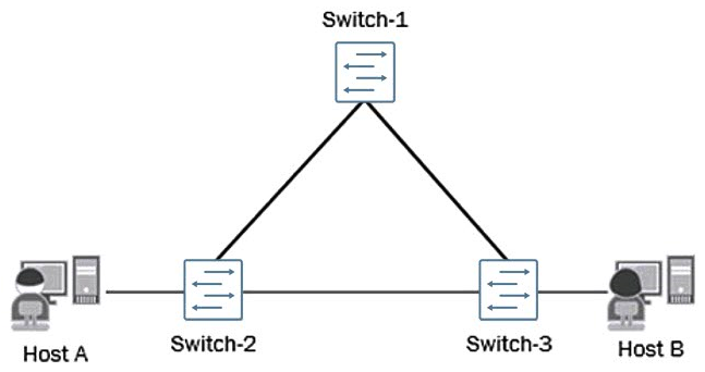<strong>Click the Exhibit button.   A number of reports from end users indicate that internal and external communications are intermittent and not reliable. You verified the status of the switch ports and have determined that they are up and operational. You also noticed a very high level of link bandwidth utilization on those same ports. The current topology of the affected environment is shown in the exhibit. What would be the cause of the reported issues?</strong> A) A misconfigured interior gateway protocol (IGP). B) A lack of a loop-prevention mechanism or protocol. C) A lack of port-based ACLs filtering the traffic flows. D) A malformed route-based ACL improperly filtering traffic flows. <div style=padding-top: 35px> 