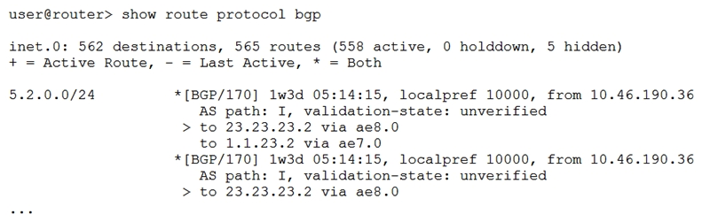 <strong> Referring to the exhibit, which statement is true?</strong> A) This is a multipath route. B) The route is learned from three different neighbors. C) This is a multihop route. D) The route is learned from only one neighbor.