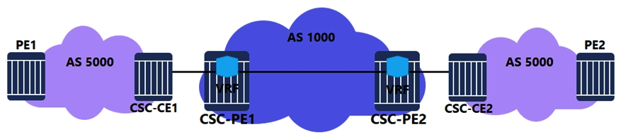 <strong>For the Carrier Supporting Carrier (CSC) VPRN, which routes are advertised between CSC-CE1 and CSC-PE1? </strong> A) VPN-IPv4 routes for all PE system addresses in AS 1000. B) BGP labeled IPv4 routes for all PE system addresses in AS 1000. C) VPN-IPv4 routes for all PE system addresses in AS 5000. D) BGP labeled IPv4 routes for all PE system addresses in AS 5000.