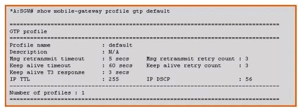 <strong>Based on the information shown in the exhibit, which of the following is the time interval used by the SGW to send out an Echo Request message over the GTP interface? </strong> A) 3 seconds B) 5 seconds C) 6 seconds D) 60 seconds E) 90 seconds