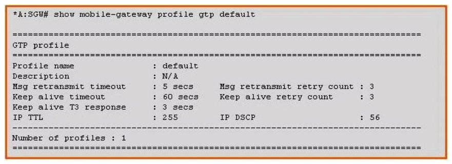 <strong>Based on the information shown in the exhibit, which of the following is the time interval used by the SGW to retransmit a GTP signaling message? </strong> A) 3 seconds B) 5 seconds C) 6 seconds D) 60 seconds E) 90 seconds