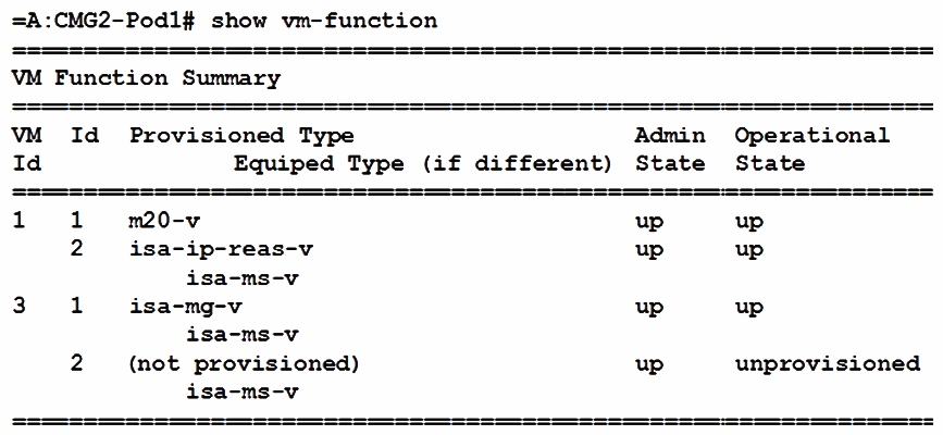 <strong>Based on the exhibit output, which of the following statements is TRUE? </strong> A) This CMG has one LB VM and one MG VM. B) This CMG has one LB VM and two MG VM. C) This CMG has two LB VM and one MG VM. D) This CMG has two LB VM and two MG VM.