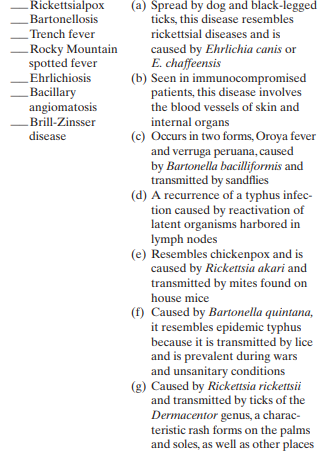 Match the following rickettsial and rickettsial-related sys temic diseases to their descriptions: