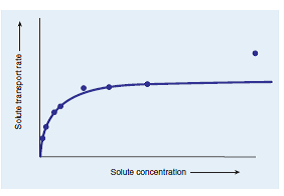 This graph shows facilitated diffusion of a compound across a cytoplasmic membrane and into a cell. As the external concentration of the compound is increased, the rate of uptake increases until it reaches a point where it slows and then begins to plateau. This is not the case with passive diffusion, where the rate of uptake continually increases. Why does the rate of uptake slow and then eventually plateau with facilitated diffusion?