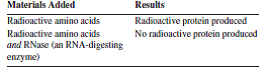 The study of protein synthesis often uses a cell-free system where cells are ground with an abrasive to release the cell contents and then filtered to remove the abrasive. These materials are added to the system, generating the indicated results: What is the best interpretation of these observations?