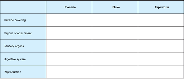 In what ways do the parasitic species differ from the free-living planaria? Use the chart to summarize your comparisons.