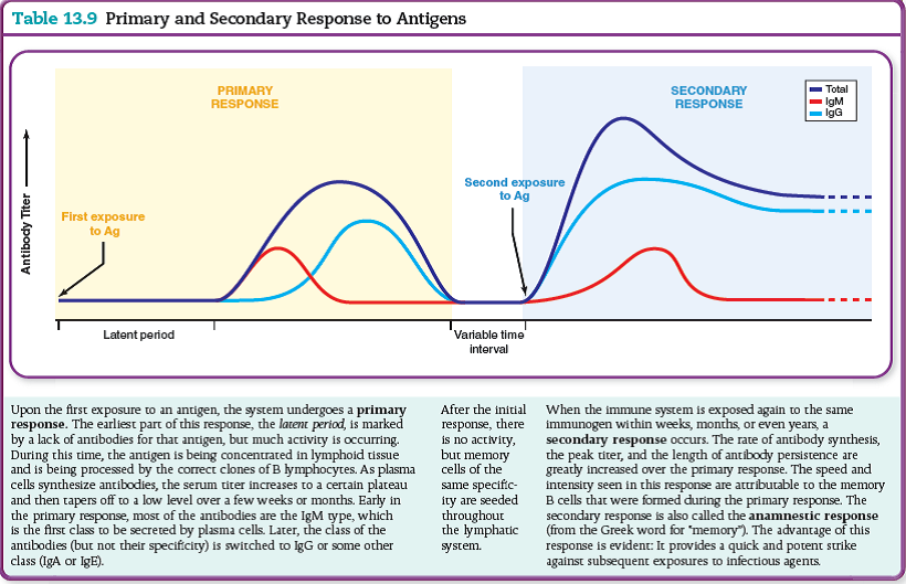 This question connects previous images to a new concept. From table 13.9. In this figure describing primary and secondary responses to antigen, indicate where a vaccination might be most effective, and also indicate where natural infection would play a role. Reference: table 13.9