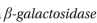 Which statements are true? Explain why or why not. -If you insert a gene lacking its own transcription control region into a cluster of piRNA genes in Drosophila, you find that β-galactosidase expression from a normal copy elsewhere in the genome is strongly inhibited in the fly's germ cells. If the inactive -galactosi- dase gene is inserted outside the piRNA gene cluster, the normal gene is properly expressed. What do you suppose is the basis for this observation? How would you test your hypothesis?