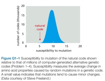Which statements are true? Explain why or why not. -Since it was deciphered four decades ago, some have claimed that the genetic code must be a frozen acci- dent, while others have argued that it was shaped by nat- ural selection. A striking feature of the genetic code is its inherent resistance to the effects of mutation. For example, a change in the third position of a codon often specifies the same amino acid or one with similar chemical properties. The natural code resists mutation more effectively (is less susceptible to error) than most other possible versions, as illustrated in Figure Q1-1. Only one in a million comput- er-generated random codes is more error-resistant than the natural genetic code. Does the extraordinary mutation resistance of the genetic code argue in favor of its origin as a frozen accident or as a result of natural selection? Explain your reasoning.