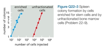 Which statements are true? explain why or why not. 0 Generation of induced pluripotent stem (iPS) cells was first accomplished using retroviral vectors to carry the OSKM set of tran- scription regulators into cells. The efficiency of fibroblast reprogramming was typically low (0.01%), in part because large numbers of retroviruses must integrate to bring about reprogramming and each integration event carries with it the risk of inappropriately disrupting or activating a critical gene. In what other ways, or other forms, do you suppose you might deliver the OSKM transcription regula- tors so as to avoid these problems?