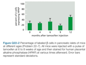 The origin of new cells of the pancreas-from stem cells or from preexisting cells-was not resolved until a decade ago, when the technique of lineage tracing was used to decide the issue. Using transgenic mice that expressed a tamoxifen-activated form of Cre recombinase under the control of the insulin promoter, which is active only in cells, investigators could remove an inhibitory segment of DNA and thereby allow expression of human placental alkaline phosphatase (HPAP), which can be detected by histochemical staining. After a pulse of tamox- ifen that converted about 30% of cells in young mice to cells that express HPAP, the investigators followed the per- centage of labeled cells for a year, during which time the total number of cells in the pancreas increased by 6.5- fold. How do you suppose the percentage of cells would change over time if new cells were derived from stem cells? What if new cells were derived from preexisting cells? WFigure Q22.03/Q22.01hich hypothesis do the results in Figure Q22-2 support?