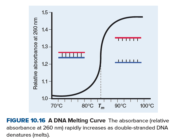 In figure 10.16 , how would the curve appear if the GC content of the DNA sample were increased? How would the curve appear if the AT content were increased?