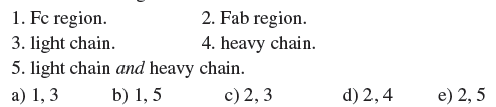 The variable regions of antibodies are located in the