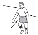 A rugby player is contacted simultaneously by three opponents who exert forces of the magnitudes and directions shown in the diagram at right. Using a graphic solution, show the magnitude and direction of the resultant force.  <div style=padding-top: 35px> 