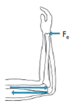 How much tension (F m ) must be supplied by the triceps to stabilize the arm against an external force (F e ) of 200 N, given d m = 2 cm and d e = 25 cm? What is the magnitude of the joint reaction force (R)? (Since the forearm is vertical, its weight does not produce torque at the elbow.)
