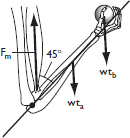 A 35 N hand and forearm are held at a 45° angle to the vertically oriented humerus. The CG of the forearm and hand is located at a distance of 15 cm from the joint center at the elbow, and the elbow fl exor muscles attach at an average distance of 3 cm from the joint center. (Assume that the muscles attach at an angle of 45° to the bones.) a. How much force must be exerted by the forearm flexors to maintain this position? b. How much force must the forearm flexors exert if a 50 N weight is held in the hand at a distance along the arm of 25 cm?