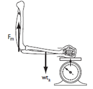 A hand exerts a force of 90 N on a scale at 32 cm from the joint center at the elbow. If the triceps attach to the ulna at a 90° angle and at a distance of 3 cm from the elbow joint center, and if the weight of the forearm and hand is 40 N with the hand/forearm CG located 17 cm from the elbow joint center, how much force is being exerted by the triceps?