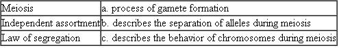 Match each of the following genetic terms with its characteristic or description.
