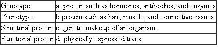 Match each of the following gene expression terms with its characteristic, description, or example.
