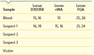 Although the graphical data are quick to interpret, examine the graphs more closely and note the allele version of each sample listed in Table. The blood sample is outlined for you. Table A lleles for Analyzed Gene Loci