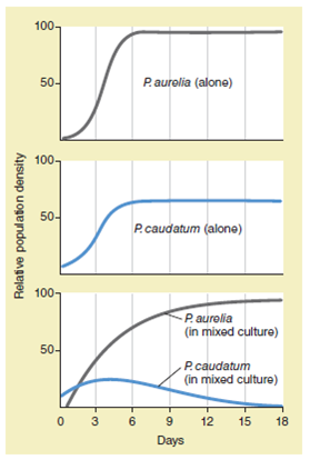 ANALYZING DATA. Examine the top and middle graphs in Figure. Are these examples of exponential or logistic population growth Where is K in each graph (You may need to refer to Chapter 53 to answer these questions.) FIGURE Animated G. F. Gause's classic experiment on interspecific competition