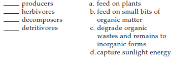 Match the terms with suitable descriptions.  <div style=padding-top: 35px> 