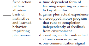 Match the terms with their most suitable description.