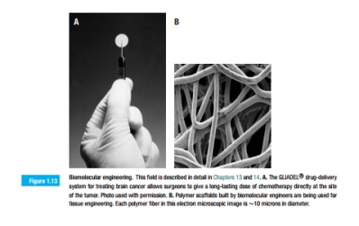 Figure 1.13 shows a surgeon holding a GLIADEL?R wafer. From this photo- graphic evidence only, estimate the following: a. The dimensions of the wafer. b. The dose of drug that it contains, if the loading of drug is 3.85% by mass (i.e., 3.85% of the wafer mass is due to the drug).