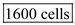 The maximum number of cells that fit into each spot of protein with the diameter 300 microns can be calculated by the following calculation : So, the maximum number of can fit into each spot.