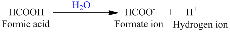 a. The balanced chemical reaction for the dissociation formic acid is as follows: b. The conjugate base in the reaction after the dissociation is HCOO - or the formate ion. The H + ion concentration at equilibrium will be equal to the concentration of formic acid. c. The percentage of ionization is given by the equation: Initial concentration = 42 mM, The amount dissociated = 21 mM (Formic acid partially dissociates in water) Therefore, Therefore, the percentage of ionization = 50%.