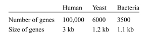 Humans have a large amount of DNA that is uncoded compared to yeast and bacteria. The human genome contains about 3 billion bases of DNA; this is much more than the 3 million bases in a typical bacterium. The genome of a yeast cell (the simplest eukaryote) is about 14 megabases. Using the following table, calculate the density of genes per unit length of genome in each case. Also, for each cell type, state the fraction of genome that is used to code for proteins (i.e., contains genetic information). Comment on the reasons for the changes in complexity of proteins as well as the percentage of coded genome that is coded in higher organisms.