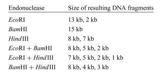 A circular piece of DNA (e.g., a plasmid) was cleaved using three different restriction enzymes. The cut sizes of the fragments of DNA were detected by gel electrophoresis. The results of the restriction enzyme treatments are shown here (note that 1 kb = 1000 base pairs). a. What is the length (in kb) of the circular DNA? b. Draw a map of the circular DNA (including the restriction sites for HindIII, EcoRI, BamHI) and determine the distance (in kb) between all the restriction sites on the circular DNA.