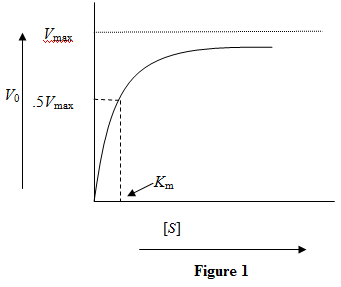 THE MICHAELIS-MENTEN EQUATION The Michaelis-Menten equation is used to study enzyme kinetics. Michaelis-Menten equation is given by Here is the velocity of the chemical reaction, denotes the concentration of the substrate, is the saturation reaction rate and is Michaelis-Menten constant which is related to the binding affinity of the substrate to the enzyme. Figure 1: Reaction velocity versus substrate concentration for a particular enzyme-substrate pair a) The binding affinity of a substrate with an enzyme is measured in terms of It equals the substrate concentration when the reaction velocity is half the saturation reaction velocity. A lower value of indicates a higher binding affinity. So, for two substrates binding to the same enzyme, the curve will be steeper for the substrate with higher binding affinity. Figure 2: Reaction velocity versus substrate concentration for two substrates with a given enzyme. The orange color curve is for the substrate with higher binding affinity. While the Michaelis-Menten constant gets reduced due to higher binding affinity, the saturation velocity, which depends on the enzyme concentration, remains the same. b) The maximum reaction rate depends directly on the amount of enzyme. Doubling the enzyme concentration will double the maximum reaction velocity. Figure 3: Kinetic curve with doubled concentration of enzyme. The curve in red shows the kinetic curve when the enzyme concentration was not doubled. Doubling the enzyme concentration doubles the maximum reaction velocity while the value remains unaffected.