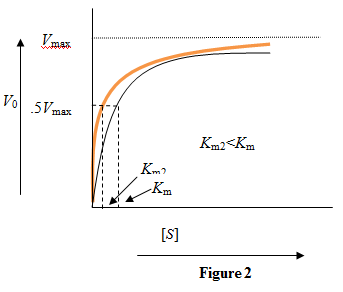 THE MICHAELIS-MENTEN EQUATION The Michaelis-Menten equation is used to study enzyme kinetics. Michaelis-Menten equation is given by Here is the velocity of the chemical reaction, denotes the concentration of the substrate, is the saturation reaction rate and is Michaelis-Menten constant which is related to the binding affinity of the substrate to the enzyme. Figure 1: Reaction velocity versus substrate concentration for a particular enzyme-substrate pair a) The binding affinity of a substrate with an enzyme is measured in terms of It equals the substrate concentration when the reaction velocity is half the saturation reaction velocity. A lower value of indicates a higher binding affinity. So, for two substrates binding to the same enzyme, the curve will be steeper for the substrate with higher binding affinity. Figure 2: Reaction velocity versus substrate concentration for two substrates with a given enzyme. The orange color curve is for the substrate with higher binding affinity. While the Michaelis-Menten constant gets reduced due to higher binding affinity, the saturation velocity, which depends on the enzyme concentration, remains the same. b) The maximum reaction rate depends directly on the amount of enzyme. Doubling the enzyme concentration will double the maximum reaction velocity. Figure 3: Kinetic curve with doubled concentration of enzyme. The curve in red shows the kinetic curve when the enzyme concentration was not doubled. Doubling the enzyme concentration doubles the maximum reaction velocity while the value remains unaffected.