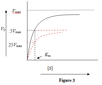 THE MICHAELIS-MENTEN EQUATION The Michaelis-Menten equation is used to study enzyme kinetics. Michaelis-Menten equation is given by Here is the velocity of the chemical reaction, denotes the concentration of the substrate, is the saturation reaction rate and is Michaelis-Menten constant which is related to the binding affinity of the substrate to the enzyme. Figure 1: Reaction velocity versus substrate concentration for a particular enzyme-substrate pair a) The binding affinity of a substrate with an enzyme is measured in terms of It equals the substrate concentration when the reaction velocity is half the saturation reaction velocity. A lower value of indicates a higher binding affinity. So, for two substrates binding to the same enzyme, the curve will be steeper for the substrate with higher binding affinity. Figure 2: Reaction velocity versus substrate concentration for two substrates with a given enzyme. The orange color curve is for the substrate with higher binding affinity. While the Michaelis-Menten constant gets reduced due to higher binding affinity, the saturation velocity, which depends on the enzyme concentration, remains the same. b) The maximum reaction rate depends directly on the amount of enzyme. Doubling the enzyme concentration will double the maximum reaction velocity. Figure 3: Kinetic curve with doubled concentration of enzyme. The curve in red shows the kinetic curve when the enzyme concentration was not doubled. Doubling the enzyme concentration doubles the maximum reaction velocity while the value remains unaffected.