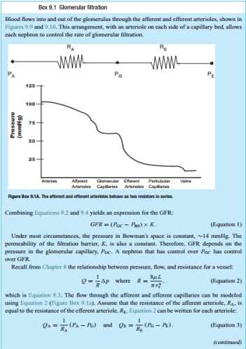 If the GFR is 100 mL/min, use Equation 9.4 and the information in Box 9.1 to determine K.