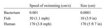 The forces that act on a body that is swimming through water are similar to the forces acting on an object flying through the air, as shown in Box 10.1, except that swimming bodies are buoyant, which exactly balances the force of gravity. Assume that we are studying the differences between swimmers of different size: a bacterium, a fish, and a human swimmer. Assume further that the drag force, Fd, acting on any swimmer is proportional to its average size a: where µ is the viscosity of the fluid surrounding the swimmer and vx is the speed of swimming. Assume that the viscosity of the fluid through which they are swimming is 0.01 g/cm-s and the following are the characteristics of each swimmer: a. What is the drag force acting on each swimmer? What is the propulsive force that is produced by each swimmer to swim at the stated speed? b. Assume that the swimmer suddenly stops exerting energy to swim. At the very instant that it stops, before it has had time to slow down appreciably, what is the drag force on each swimmer? What is the propulsive force? c. How long will each swimmer coast-that is, how long will it keep moving forward before stopping? d. How far did it travel during the coasting phase?