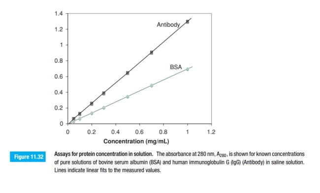 The standard curves shown in Figure 11.32 have the following equations: a. Assume that you measure the OD of five unknown solutions that contain BSA and get the following readings: A280 = 0.35, 0.02, 0.58, 1.23, and 0.44. What are the concentrations of BSA in each of these solutions? b. What would the concentration of antibody be for the same set of measurements? c. Do you have confidence in all of the estimated concentrations that you have calculated? If not, which values are suspicious to you, and why? d. How would you apply this method to a mixture that contained both BSA and Ab?